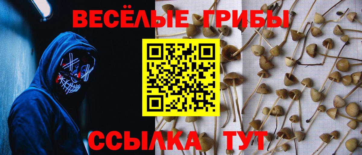 Тихорецк  Псилоцибиновые грибы мицелий  Вход с VPN  Галлюциногенные грибы мицелий 